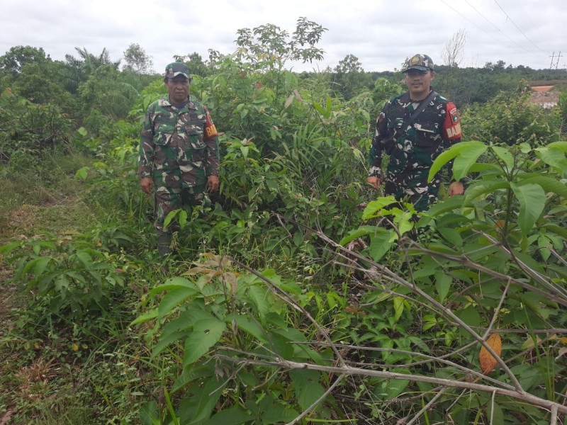 Babinsa Sertu Roesdianto, Kopda Alif Alfindo Patroli Karhutla di kelurahan Pematang Pudu, Kecamatan Mandau