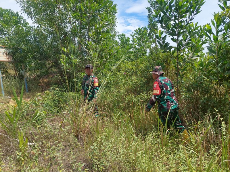 Babinsa Sertu Roby, Serda D.Simanjuntak, Serda Z.Panjaitan Berpatroli Karhutla di Jalan Rangau, Desa Petani, Bengkalis