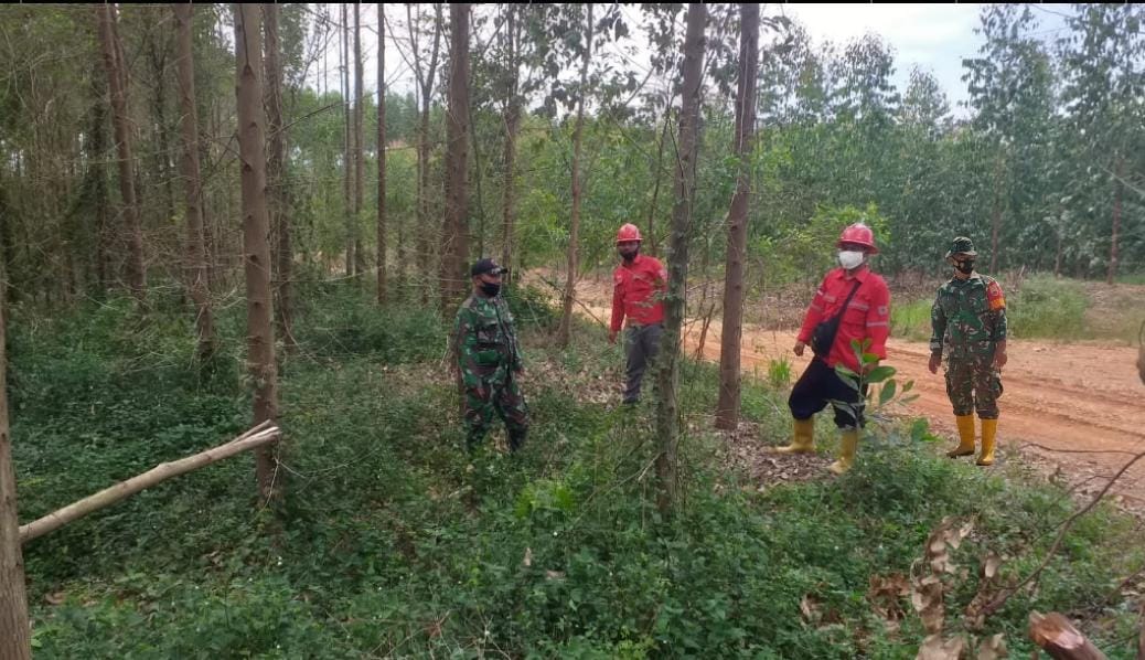 Serda P. Sinaga dan Kopda Bambang Patroli Karhutla di 2 Desa Kecamatan Talang Muandau