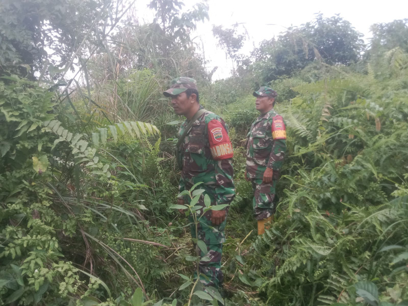 Babinsa Sertu Rosdianto, Sertu Jhoni dan Kopda Yusup, Berpatroli Karhutla di Jalan Bekasap, Desa Petani