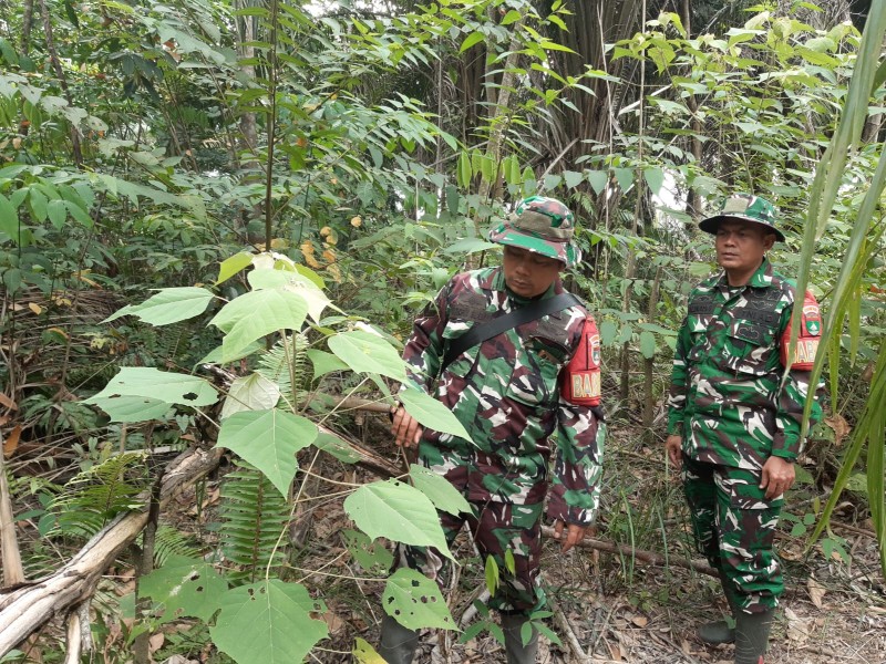 Babinsa Serma N.Saragih, Serka Alinaspi, Sertu At.Silaban  Patroli Karhutla di jalan Rangau, Desa Petani
