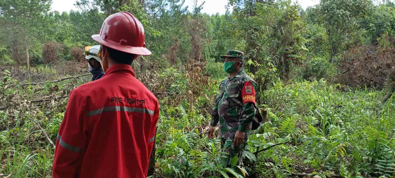 Sertu TR. Lase Laksanakan Patroli Karhutla di Desa Beringin