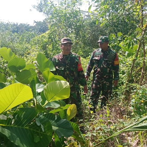 Antisipasi Karhutla, Babinsa 03/Mandau Serma Suprapto dan Sertu Roy Pardomuan di Gajah Sakti