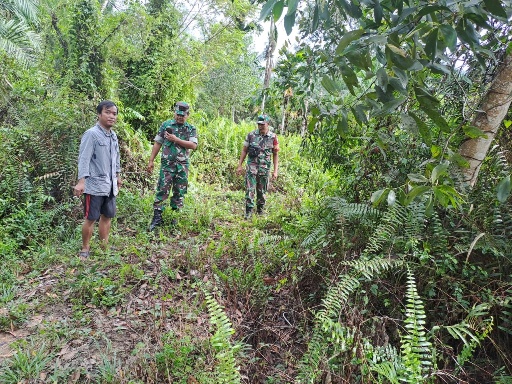 Cegah Kebakaran Hutan dan Lahan, Babinsa Sertu Junaidi dan Serda Joni R. dan Tim Lakukan Patroli di Gajah Sakti