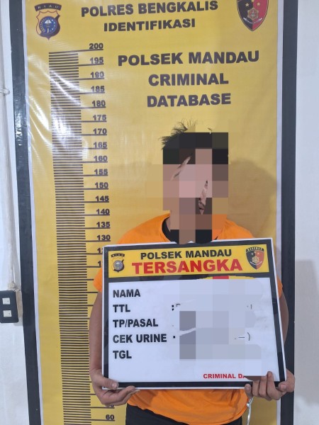 Curas dan Sajam, IR Warga Talang Mandi Masuk Sel Polsek Mandau