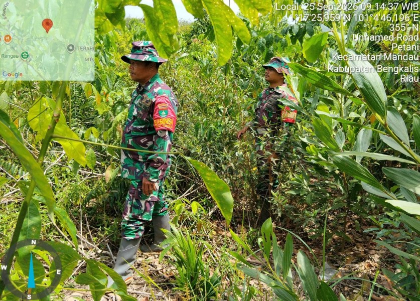 Patroli Karhutla Terus dilakukan, Babinsa Serma N.Saragih, Praka Ik. Sinaga cek Lahan Rawan di Desa Petani, Batsol, Bengkalis