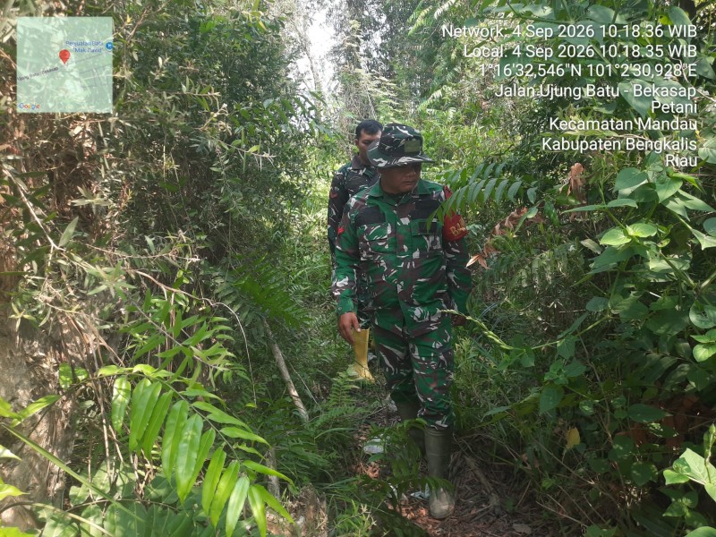 Patroli Karhutla Terus dilakukan, Babinsa Koptu Samosir, Kopda Alif Alfindo cek Lahan Rawan di Desa Petani
