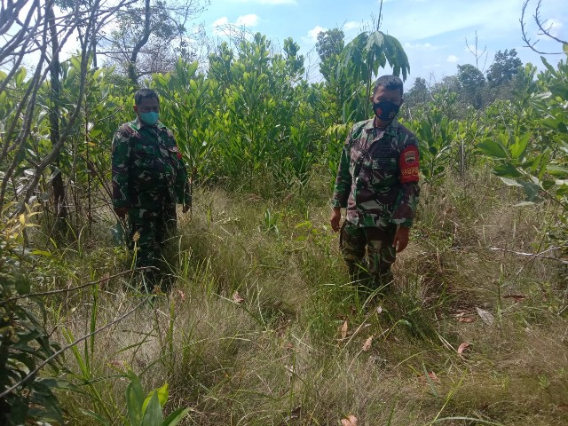 Serma Agusliadi dan Sertu S. Handoko, Patroli Karhutla di Desa Petani