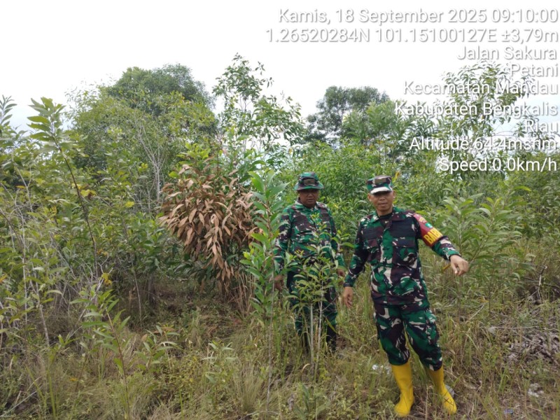 Babinsa Serma Agus waskito prabowo, Sertu M. Fikri, Serda Ml. Silaban Patroli Karhutla di Jalan Sakura, Desa Petani, Kecamatan Batsol