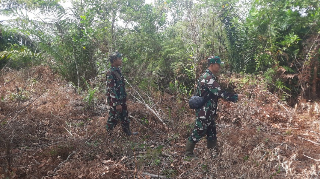 Babinsa Serka Sdg Barus, Serda Junedi, Kopda Yusuf Berpatroli Karhutla di Gang Paus, Mandau, Kelurahan Air Jamban