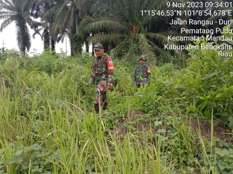 Terus Laksanakan Patroli, Babinsa Koramil 03/Mandau Sertu Alinaspi, Sertu SDG Barus dan Koptu Ml. Silaban Desa Petani