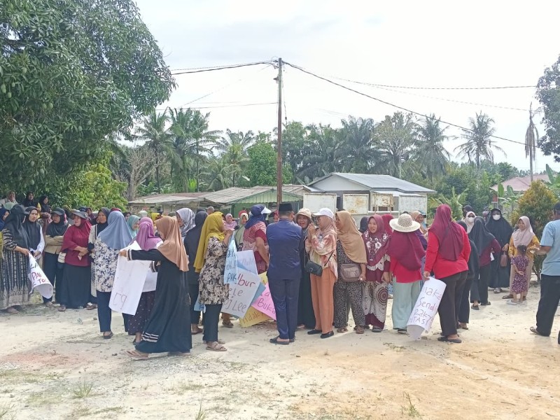 Camat Bathin Solapan Dukung Penuh Tuntutan Warga Desa Pamesi Untuk Dapatkan Plasma dari PT Murini