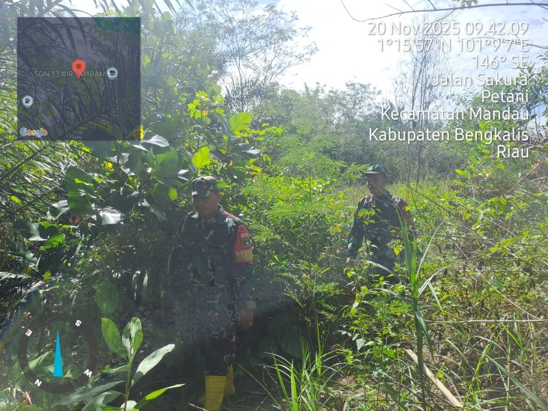 Babinsa Serma Agusliadi, Serka SDG Barus, Sertu Joni. R. Patroli Karhutla di Desa Petani, Batsol