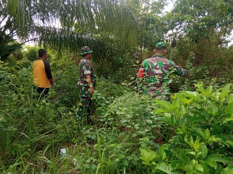 Patroli Rutin Cegah Karhutla, Babinsa Pelda Amiruddin dan Serma Agusliadi Berpatroli di Desa Petani