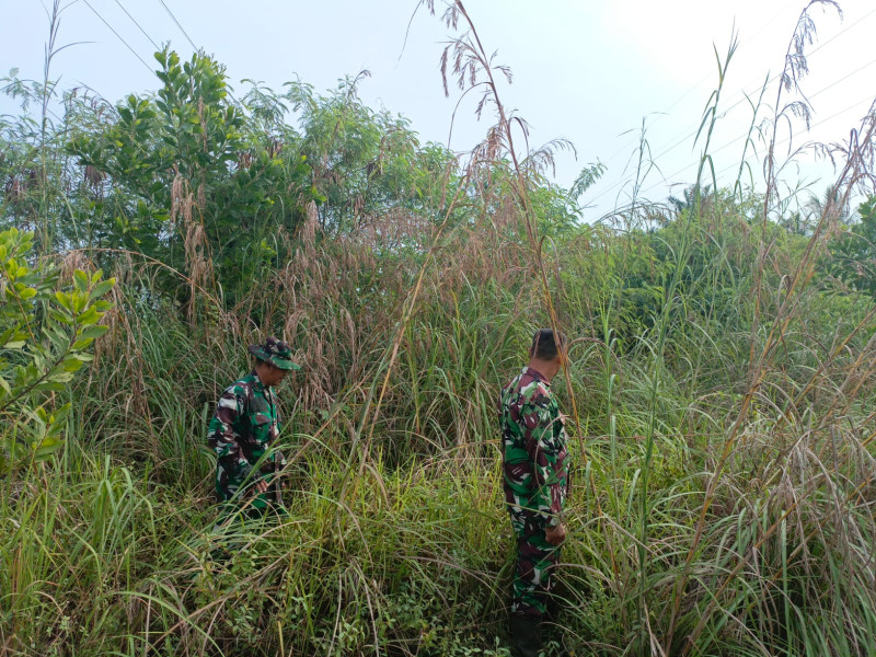 Cegah Karhutla, Babinsa Mandau Pelda Yulihar dan Sertu Agung Saputro di Desa Buluh Manis