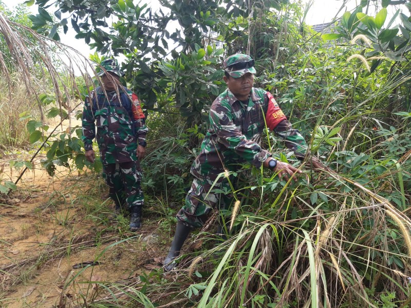 Babinsa Pelda Yulihar, Serka N.Saragih Berpatroli Karhutla di Desa Buluh Manis, Bengkalis