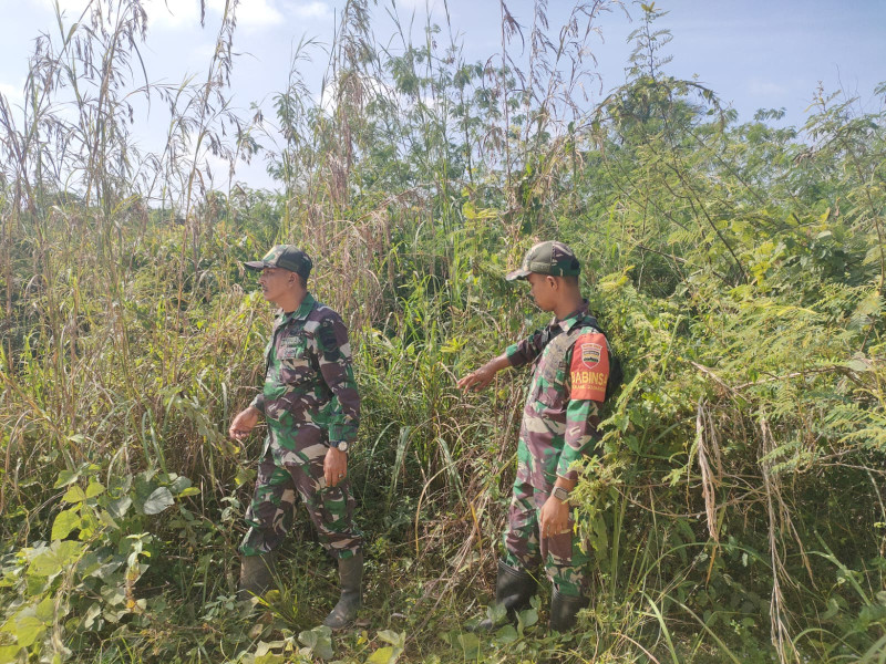 Babinsa Serma Suprapto, Serma Agusliadi dan Pratu D. Simanungkalit Berpatroli Karhutla di Jalan Rangau, Desa Petani