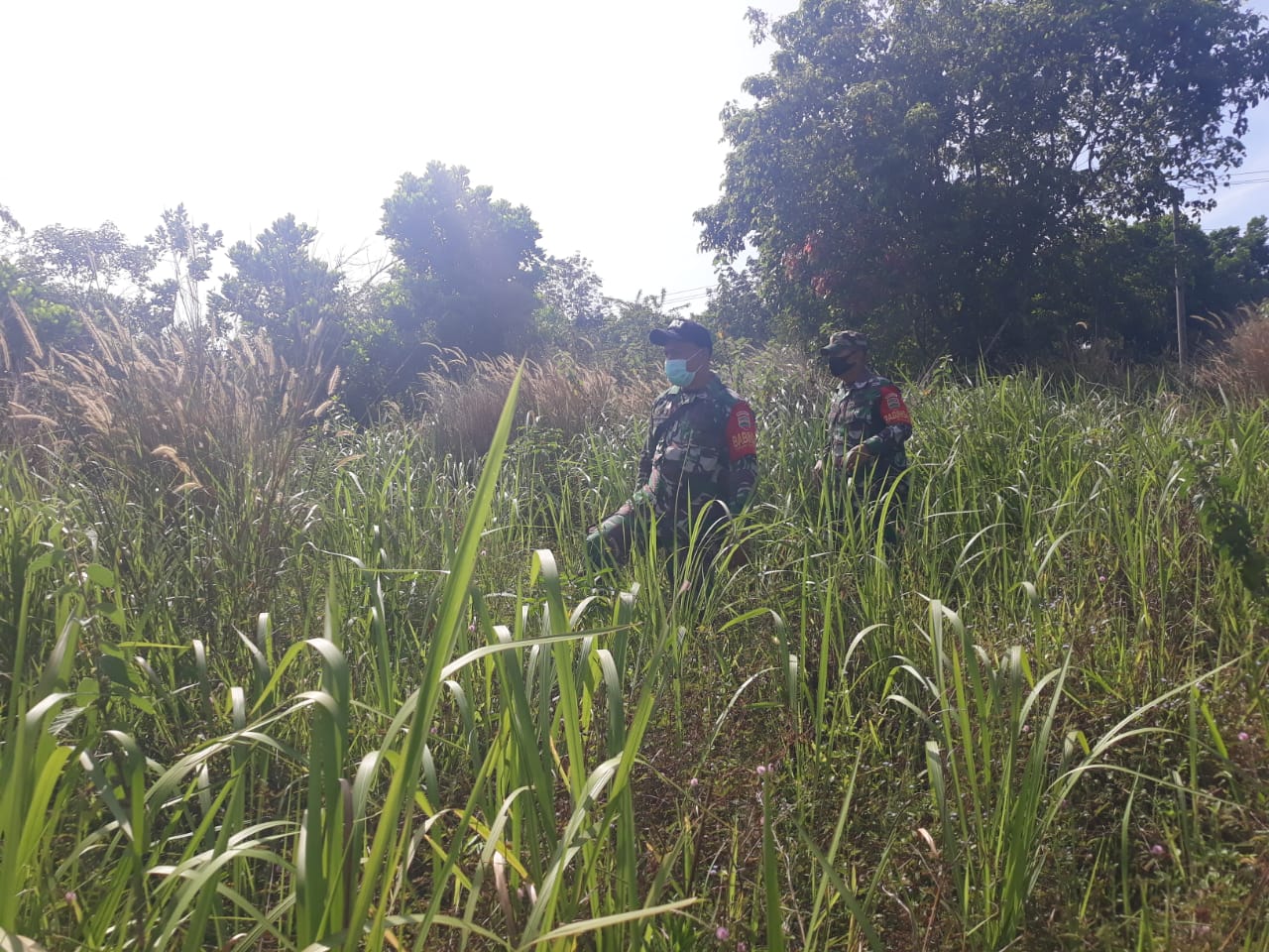 Serma Yulihar dan Serda AT. Silaban Patroli Karhutla di Desa Petani