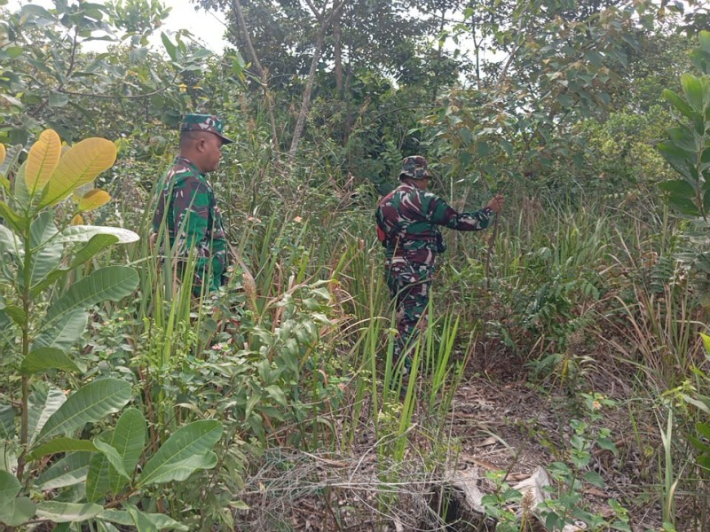 Babinsa Pelda Suprapto, Sertu A.Junaedi, Serda Ml.Silaban Patroli Karhutla di Desa Petani, Batsol