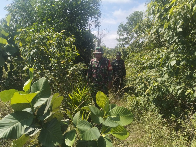 Babinsa Pelda Armen, Serka SDG Barus, Serda Ahmad Junaidi Berpatroli Karhutla di Jalan Tegar, Kelurahan Pematang Pudu, Bengkalis