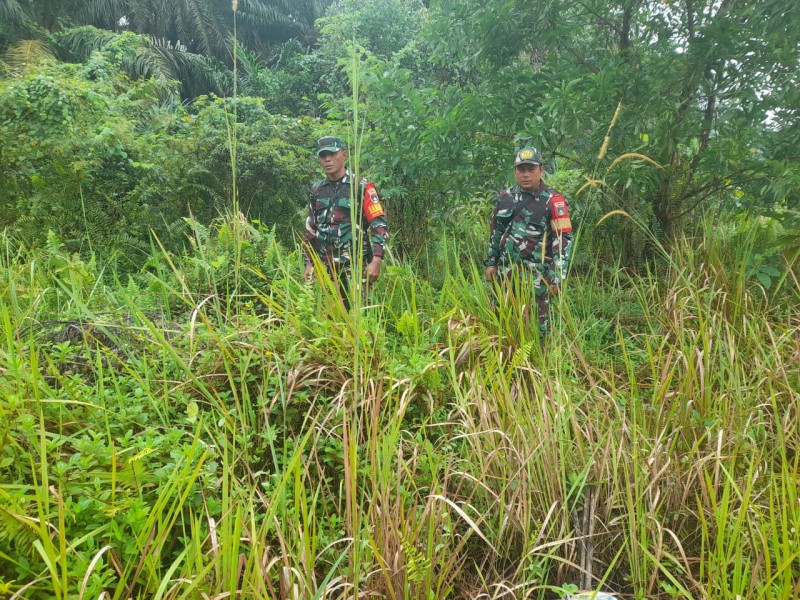 Babinsa Peltu Armen, Serka Alinaspi, Sertu AT Silaban Patroli Karhutla di Kelurahan Pematang Pudu, Mandau, Bengkalis