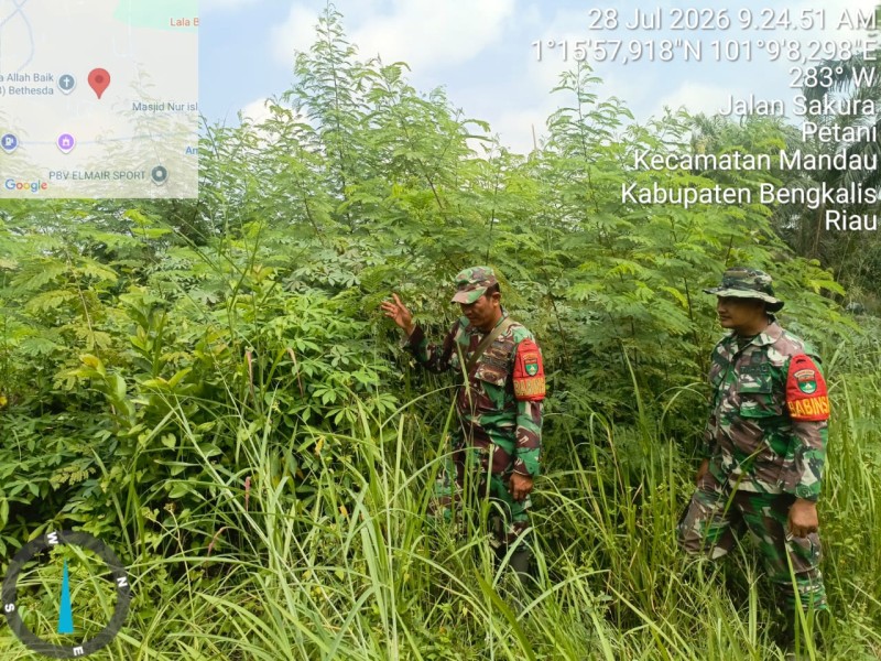 Babinsa Serka agung.s, Sertu joni Patroli Karhutla di Jalan Rangau, Pematang Pudu, Kecamatan Mandau, Bengkalis