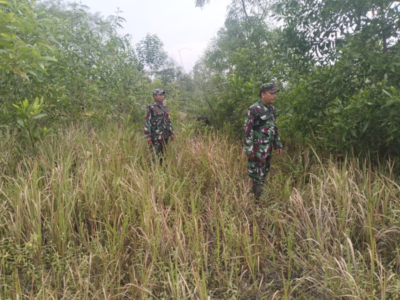 Babinsa Pelda Armen, Sertu A. T Silaban, Kopda Yusup A Berpatroli Karhutla di Jalan Tanpa Nama, Pematang Pudu, Kecamatan Mandau