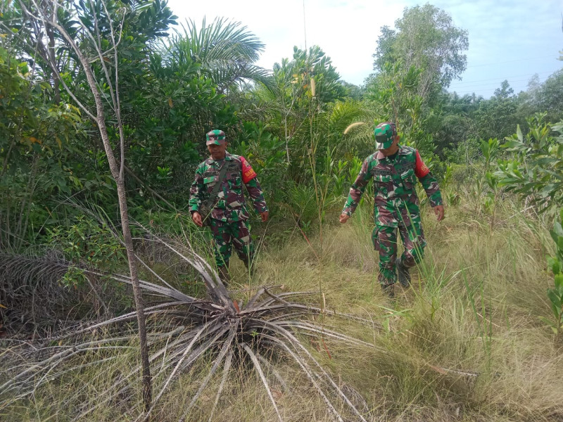 Cegah Karhutla, Babinsa Serka Ristiyo dan Serda Fikri di Desa Petani, Batsol