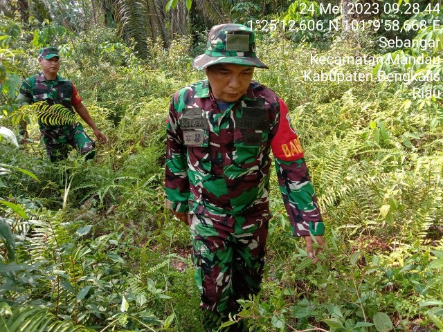 Babinsa Koramil 03/Mandau Serda Awaluddin dan Koptu ML. Silaban Terus Laksanakan Patroli Karhuta di Desa Sebangar