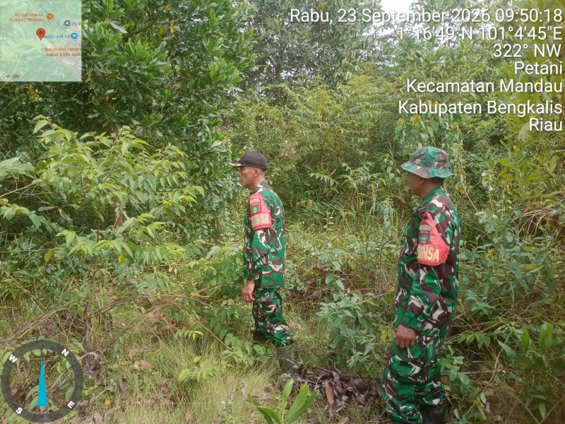 Patroli Karhutla Terus dilakukan, Babinsa Sertu Sutiman, Kopda Yusup Andri cek Lahan Rawan di Desa Petani, Batsol, Bengkalis