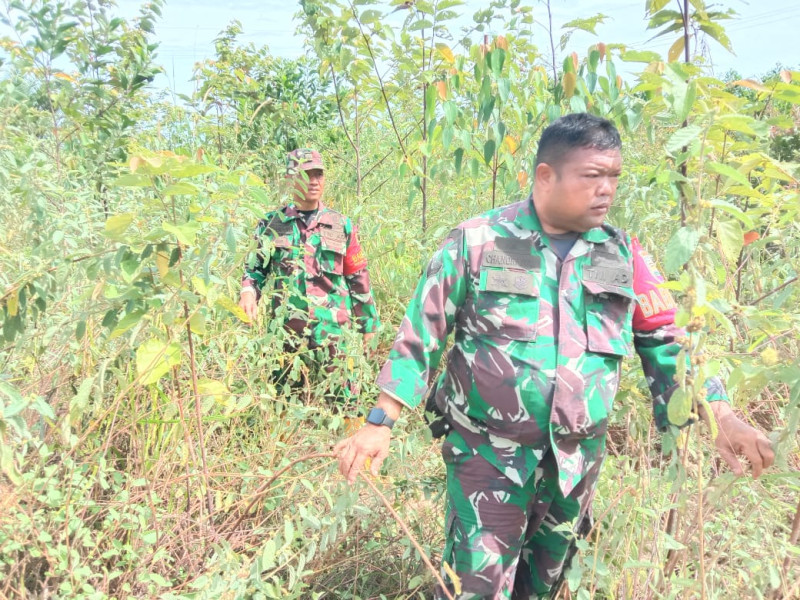 Babinsa Serka N. Saragih, Sertu Chandrawan dan Sertu Handoko Berpatroli Karhutla di Pematang Pudu, Mandau
