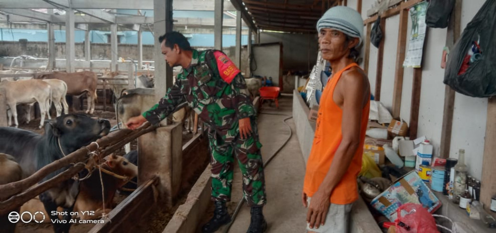 Babinsa Sertu Junaidi, Cek Hewan Ternak Kambing di Kelurahan Talang Mandi, Guna Cegah PMK