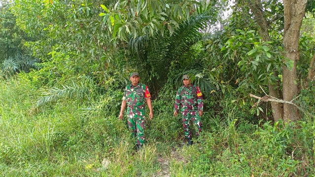 Babinsa Koramil 03/Mandau Sertu Roy dan Serda Paino Gencar Laksanakan Patroli Karhutla di Pematang Pudu
