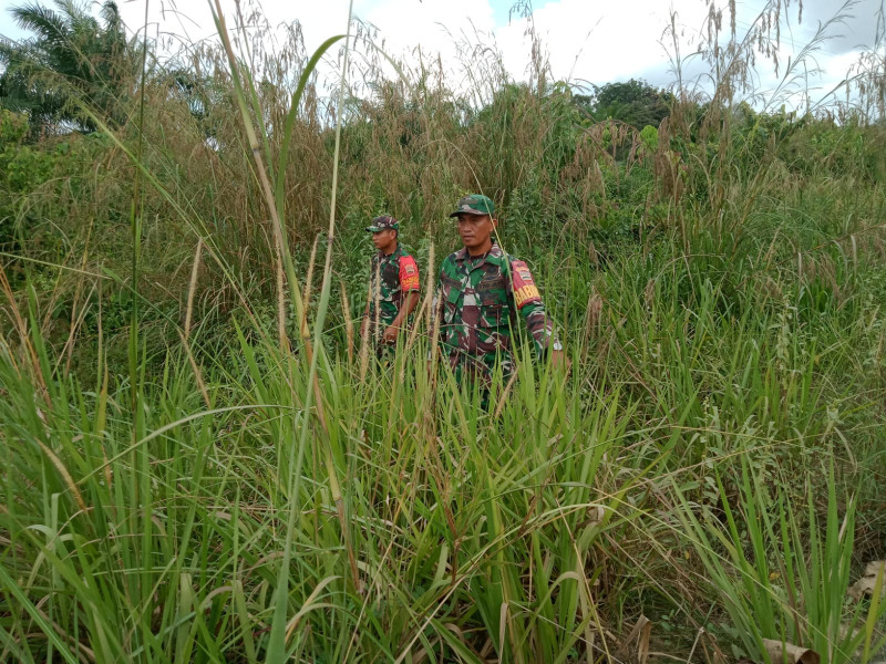 Upaya Cegah Karhutla, Babinsa Serda D. Simanjuntak, Serda Paino dan Serda Awaluddin, di Petani