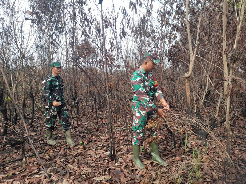 Babinsa Serka SDG Barus, Serda Zulkarnain, Koptu M. Khan Berpatroli Karhutla di Desa Petani, Batsol