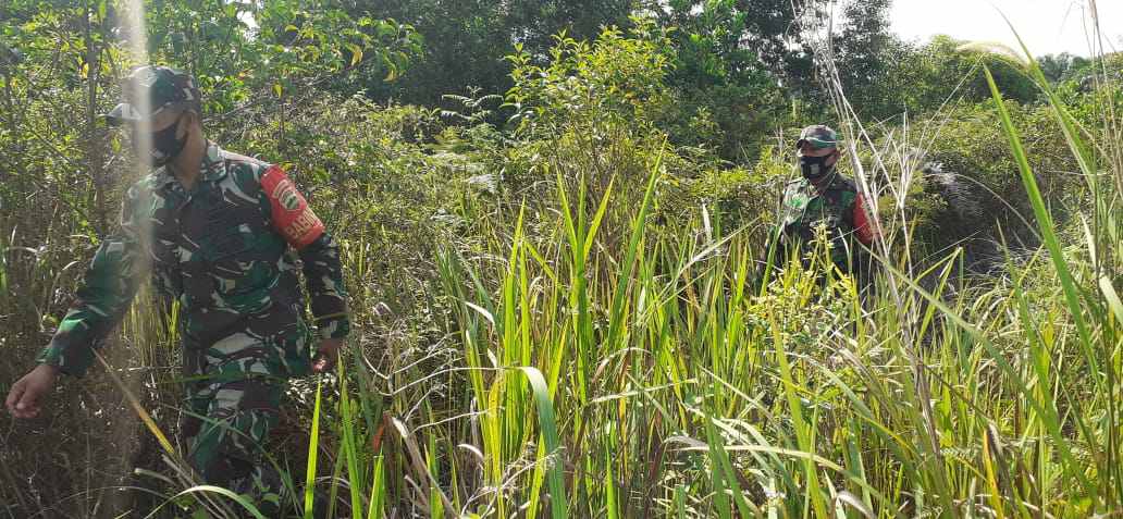 Sertu Agung dan Serda P. Sinaga Patroli Karhutla di Kelurahan Pematang Pudu