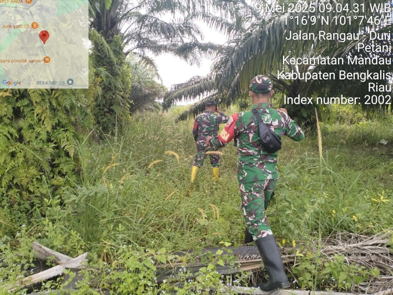 Babinsa Pelda Armen, Serka Fauzi, Pratu D.N Simanungkalit Berpatroli Karhutla di Bekasap Bangko, Batsol, Bengkalis