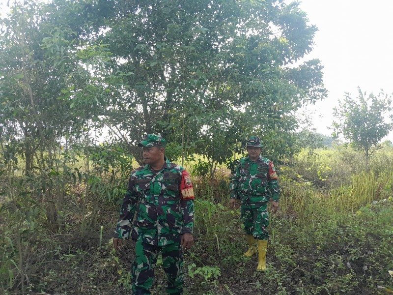 Patroli Karhutla Terus dilakukan, Babinsa Serma Fauzi, Serma Nasib Saragih cek Area Kosong  Jalan Mandiri