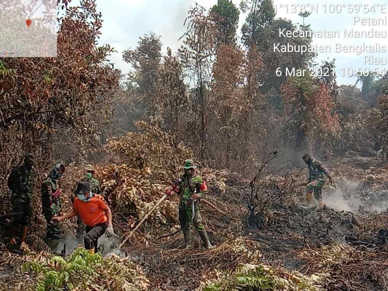 3 Hektar Lahan Gambut Terbakar, Tim Gabungan TNI Lakukan Pemadaman Api