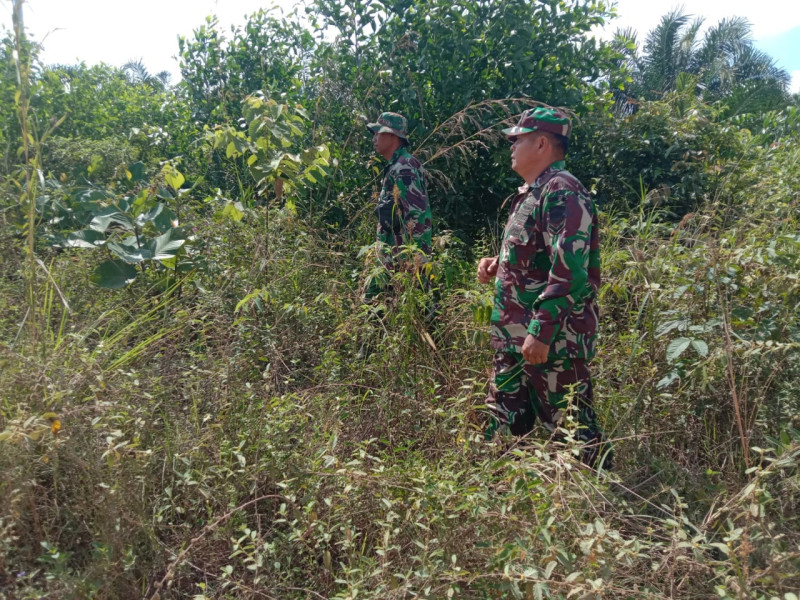 Cegah Karhutla, Babinsa Mandau Serka N. Saragih, Serka Z. Panjaitan dan Pratu Kifron di Bathin Solapan