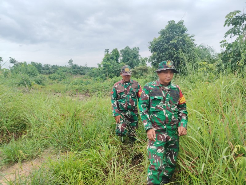 Babinsa Peltu Sigit N W, Sertu Awaluddin, Koptu Bambang Patroli Karhutla di Desa Petani, Kecamatan Batsol