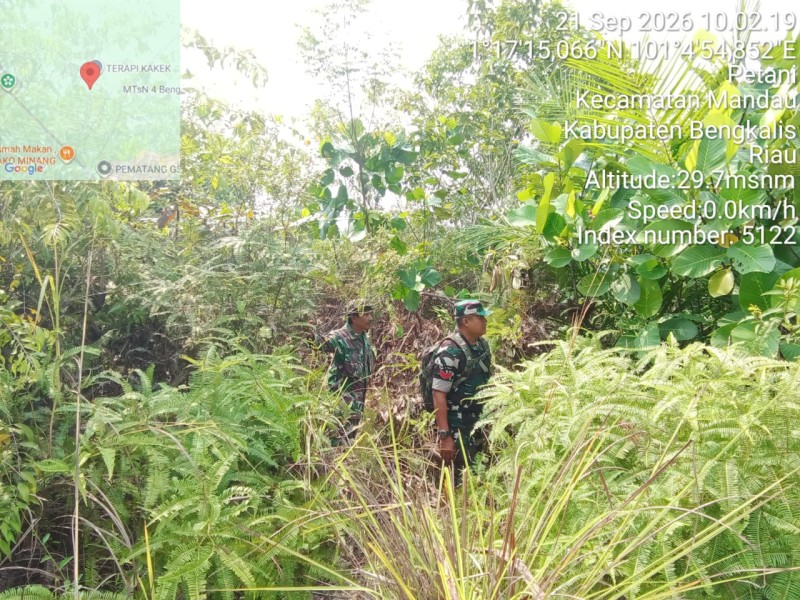 Patroli Karhutla Terus dilakukan, Babinsa Pelda Suprapto, Koptu Ade Kurniawan cek Lahan Rawan di Desa Petani, Batsol, Bengkalis