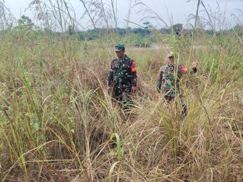 Patroli Karhutla Terus dilakukan, Babinsa Koptu Bambang, Kopda Amser Manulang cek Lahan Rawan di Desa Petani