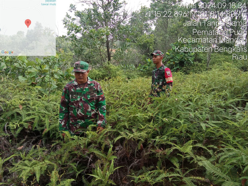 Cegah Karhutla, Babinsa Mandau Serda D.Simanjuntak, Kopda Ade, Pratu Hanafi di Pematang Pudu
