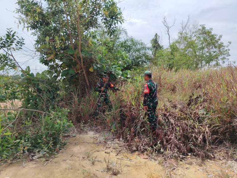 Babinsa Serda Zulkarnain, Koptu Bambang, Praka Sinaga Patroli Karhutla di Desa Petani, Batsol