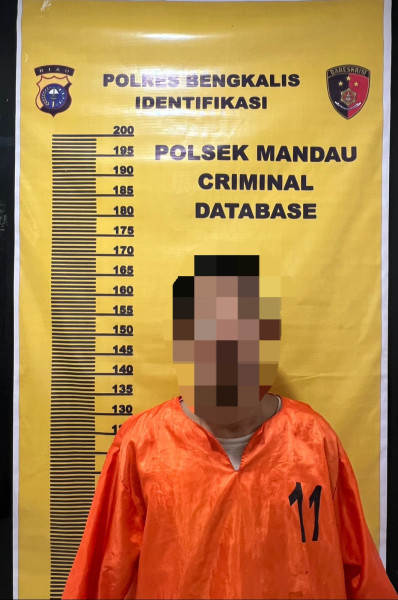 Dianiaya Sang Suami, Diduga IRT Meninggal Dunia, Polsek Mandau Langsung Tangkap Pelaku