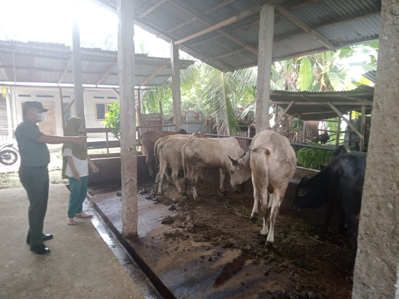 Babinsa Kopda P. Samosir Laksanakan Pengecekkan Hewan Ternak di Desa Melibur