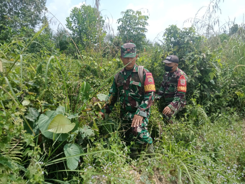 Cegah Karhutla, Babinsa Koptu Ml. Silaban dan Kopda Bambang di Petani