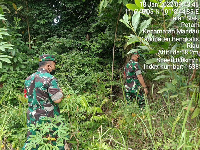 Serka TR. Lase dan Serda Awaluddin Berpatroli Karhutla di 2 Desa Batsol