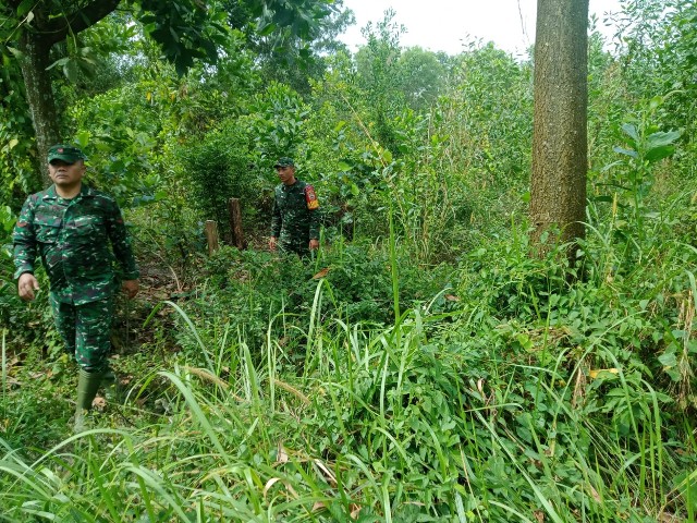 Babinsa Koramil 03/Mandau Serma Suprapto dan Kopda Samosir Terus Laksanakan Patroli Karhutla Batang Serosa